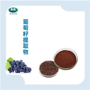葡萄籽提取物,Grape seed extract