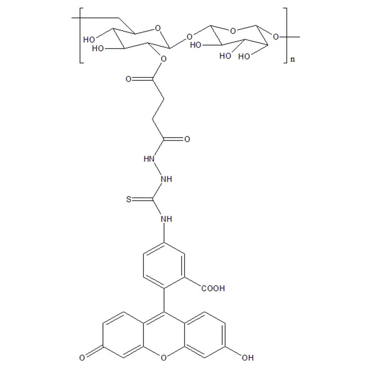 熒光素異硫氰酸酯-葡聚糖,Fitc-Dextran