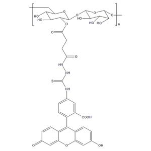 荧光素异硫氰酸酯-葡聚糖