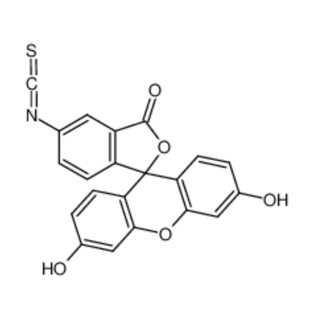 异硫氰酸荧光素酯,Fluorescein isothiocyanate isomer I