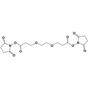 双琥珀酰亚胺酯-PEG2