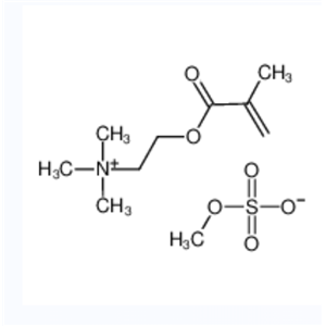 N,N,N-三甲基-2-[(2-甲基-1-氧代-2-丙基)氧]-乙氨甲基硫酸酯	