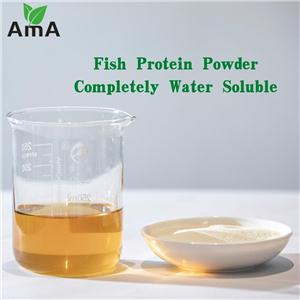 鱼蛋白,Fish Protein Powder