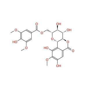 11-O-丁香酰基岩白菜素  CAS号：126485-47-0