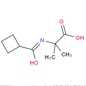 2-(环丁烷甲酰氨基)-2-甲基丙酸