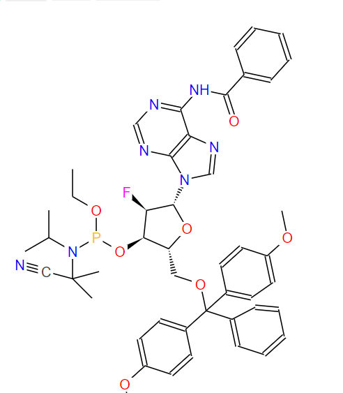 N-苯甲酰基-5'-O-[二(4-甲氧基苯基)苯基甲基]-2'-脱氧-2'-氟腺苷 3'-[2-氰基乙基 N,N-二异丙基氨基亚磷酸酯],N-Benzoyl-5'-O-[bis(4-methoxyphenyl)phenylmethyl]-2'-deoxy-2'-fluoroadenosine 3'-[2-cyanoethyl N,N-bis(1-methylethyl)phosphoramidite]