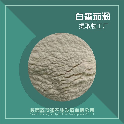 白番茄粉,White tomato powder