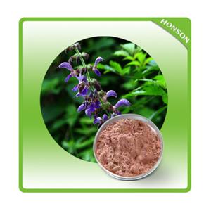 丹参浸膏粉,Salvia extract powder