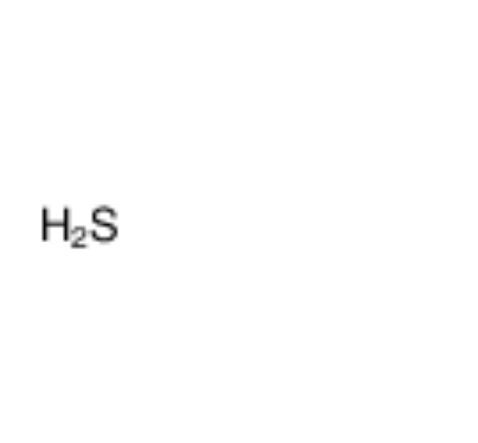 硫化氫,hydrogen sulfide