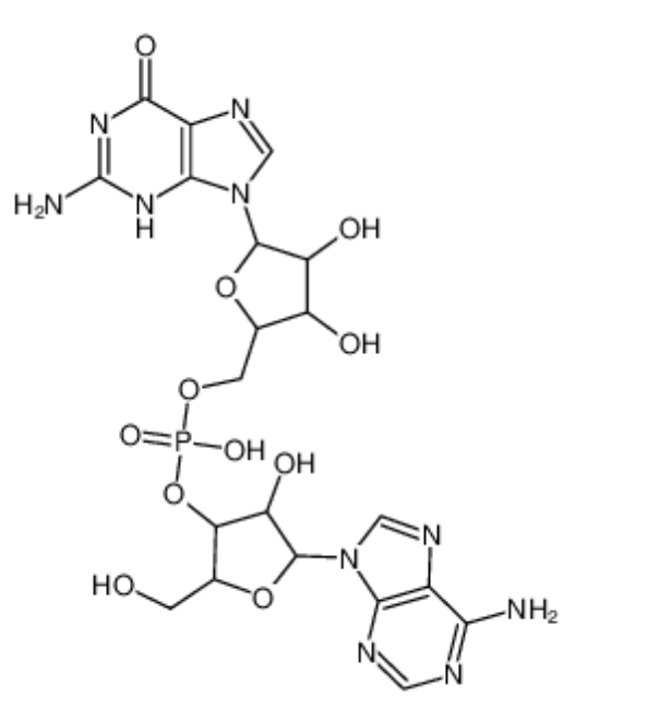 腺苷酰-(3'-5')-鸟苷,adenylyl-(3'->5')-guanosine