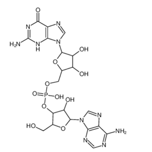 腺苷酰-(3'-5')-鸟苷