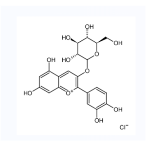 矢车菊素-3-O-葡萄糖苷	