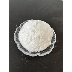 NΕ-棕榈酰基-L-谷氨酸Γ-琥珀酰亚胺基-Α-叔丁酯