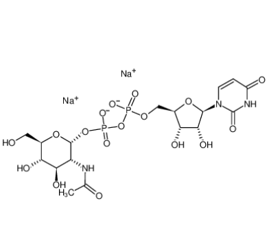 5′-二磷酸尿嘧啶核苷-N-乙酰半乳糖胺二钠盐,UDP-ALPHA-D-N-ACETYLGLUCOSAMINE, DISODIUM SALT