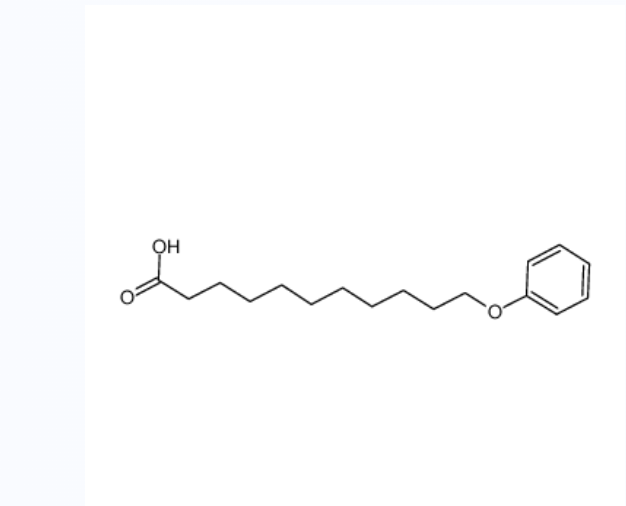 11-苯氧基十一烷酸,11-PHENOXYUNDECANOIC ACID