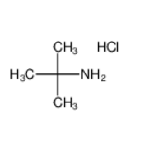2-氨基-2-甲基丙烷盐酸盐