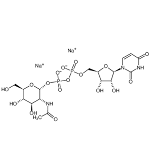 5′-二磷酸尿嘧啶核苷-N-乙酰半乳糖胺二钠盐