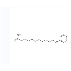 11-苯氧基十一烷酸	
