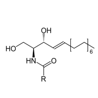 神经酰胺,Ceramide