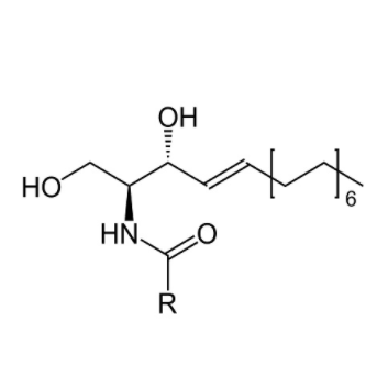 神經(jīng)酰胺,Ceramide