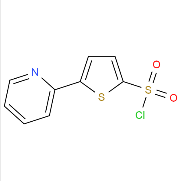 5-(2-吡啶)噻酚-2-磺酰氯,5-(Pyridin-2-yl)thiophene-2-sulphonyl chloride, tech