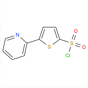 5-(2-吡啶)噻酚-2-磺酰氯