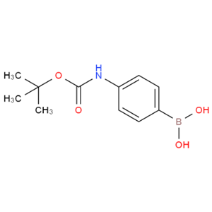 4-(N-BOC-氨基)苯硼酸,(4-BOC-AMINOPHENYL)BORONIC ACID