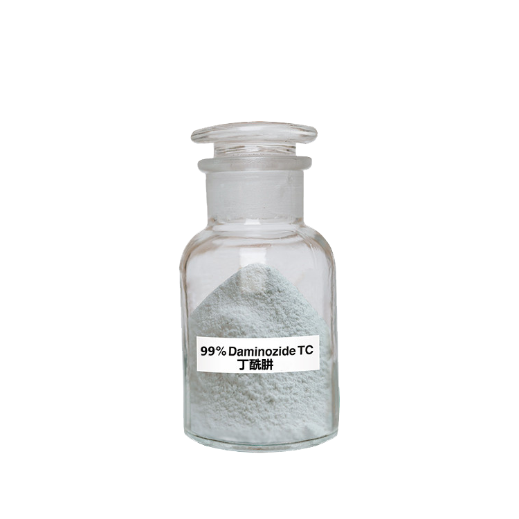 丁酰肼可溶粉剂