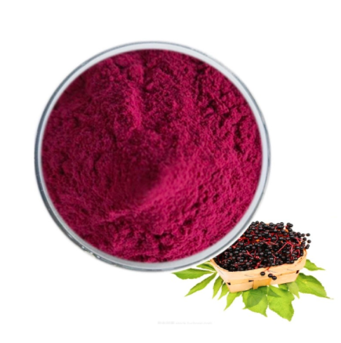 接骨木果提取物,Elderberry Extract