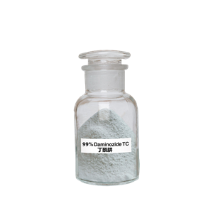 丁酰肼可溶粉剂生产厂家  菊花矮化散心药