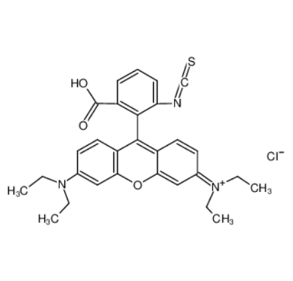 罗丹明B异硫氰酸酯,RHODAMINE B ISOTHIOCYANATE