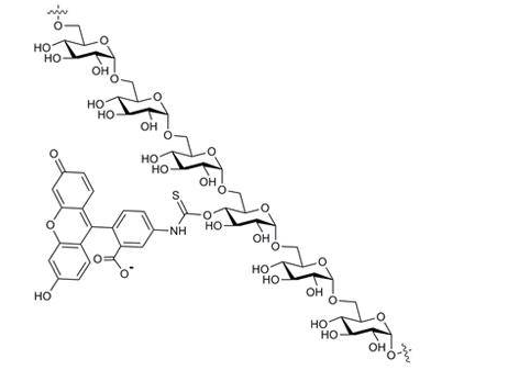 荧光素异硫氰酸酯-葡聚糖,Fluorescein isothiocyanate-dextran