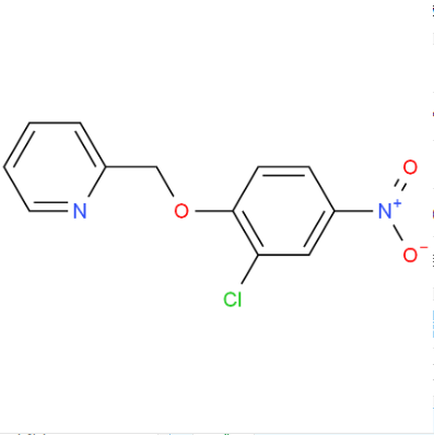 2-[(2-氯-4-硝基苯氧基)甲基]吡啶,2-[(2-Chloro-4-nitrophenoxy)methyl]pyridine