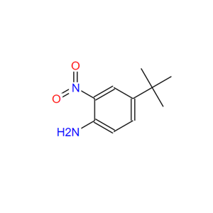 4-叔丁基-2-硝基苯胺