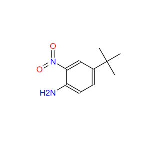 4-叔丁基-2-硝基苯胺,4-(tert-Butyl)-2-nitroaniline