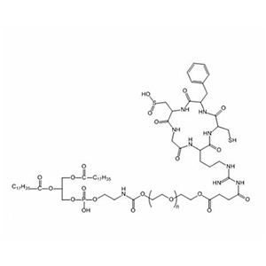 磷脂-聚乙二醇-环肽RGD