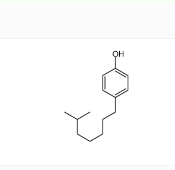 异辛基酚,isooctylphenol