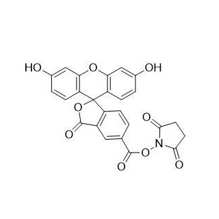 5-羧基熒光素琥珀酰亞胺酯,5-FAM SE