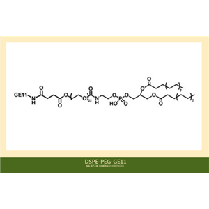 磷脂-聚乙二醇-肿瘤细胞表皮生长因子肽GE11,DSPE-PEG-GE11