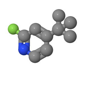 4-叔丁基-2-氟吡啶