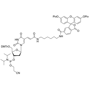 6-FAM-dT 亚磷酰胺