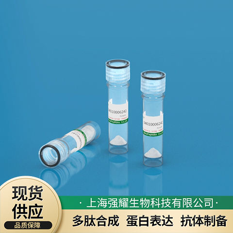 3X FLAG多肽,3X FLAG PEPTIDE