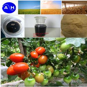 氨基酸螯合钙镁锌硼钼,aminoacid chelated multi-elements fertilizer