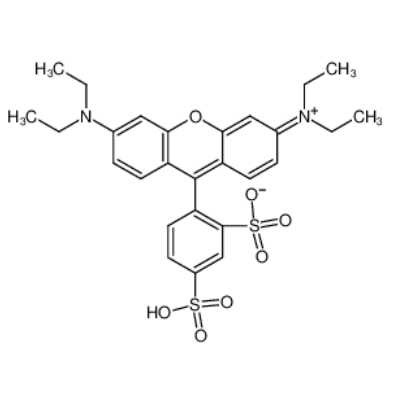 磺酰罗丹明B,SRB,SULFORHODAMINE B