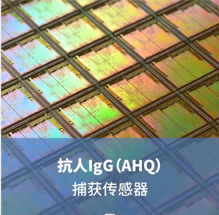 抗人IgG（AHQ）捕獲傳感器