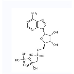 腺苷5'-[氢[[羟基(膦酰氧基)亚膦酰]甲基]膦酸酯]
