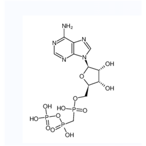 腺苷5