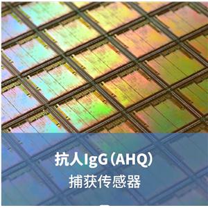 抗人IgG（AHQ）捕获传感器