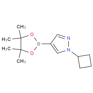 1-环丁基吡唑-4-硼酸频哪醇酯