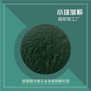 小球藻粉,Chlorella Powder